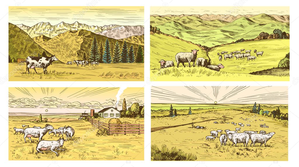 Rural meadow. Village landscape with cows, hills and a farm. Sunny scenic view. Hand drawn engraved sketch. Vintage banner for wooden sign or badge or label. Vector illustration