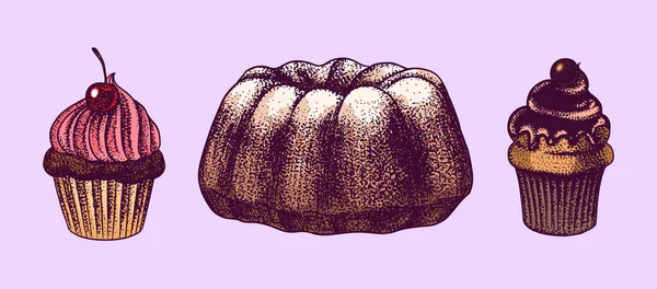 Gâteau au chocolat aux cerises. Tarte dessinée à la main, produit de boulangerie. Sweet Food. Croquis gravé vintage. Illustration vectorielle pour une bannière ou un menu d'un café et d'un restaurant. — Image vectorielle