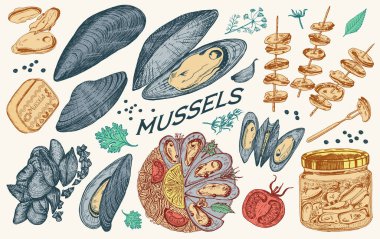 Eski usul deniz midyeleri. Deniz yumuşakçaları. Okyanus yiyeceği. Vektör çizimi. Elle çizilmiş retro çizim. Antika eski monokrom tarzı.