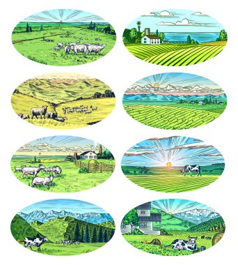 Kırsal çayır seti. İneklerle, keçilerle, kuzularla, tepelerle ve çiftliklerle dolu bir köy manzarası. Güneşli manzaralı köy manzarası. Elle çizilmiş bir eskiz. Ahşap tabela, rozet veya etiket için klasik kırsal pankart.