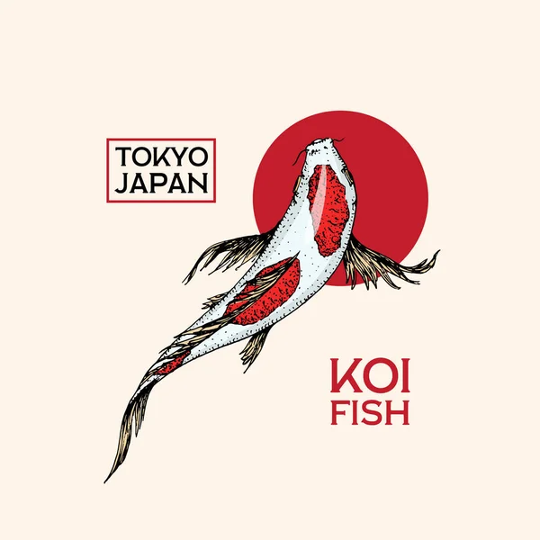 Carpa Koi e sol vermelho, crachá de peixe japonês. Logotipo de animal coreano. Gravado mão desenhada linha arte Vintage tatuagem monocromático esboço para cartaz ou rótulo. — Vetor de Stock