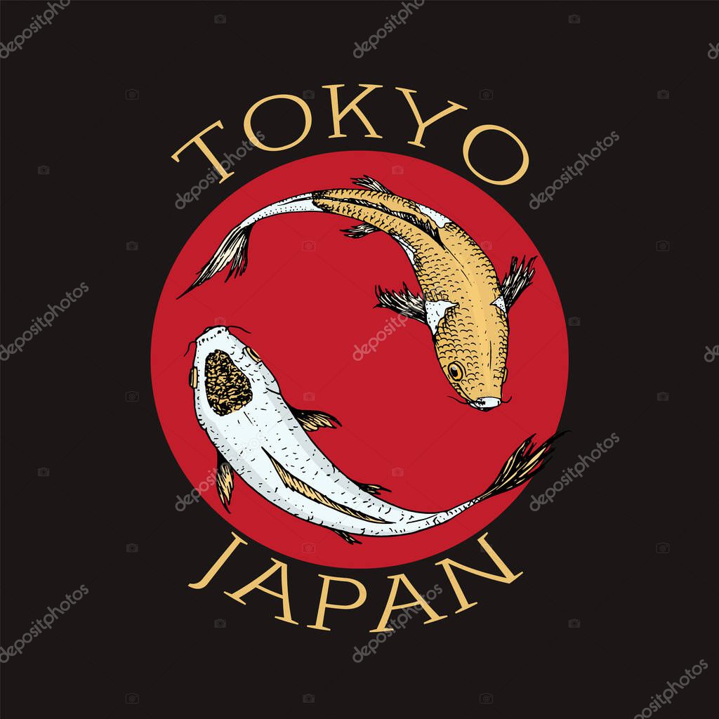 Koi carp, Japanese fish. Korean animal logo. Engraved hand drawn line art Vintage tattoo monochrome sketch for poster or label. Vector illustration