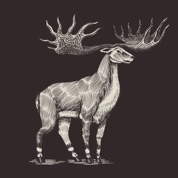 28 Irish elk Vector Images, Irish elk Illustrations Depositphotos