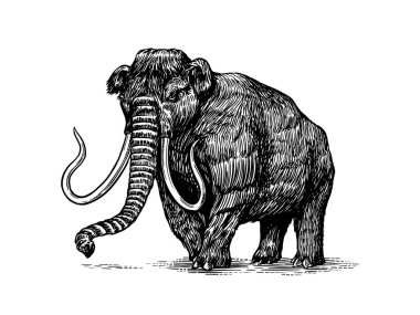 Mamut ya da nesli tükenmiş fil. Bagaja tıkılmış memeliler veya hortumlar. Büyük hayvan. Antika tabelalar. Doodle tarzı. Elle çizilmiş çizim.
