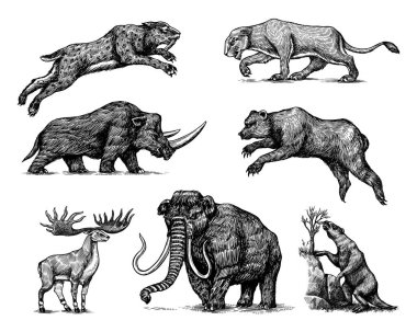 Mamut ya da nesli tükenmiş fil, yünlü gergedan ayı aslanı. Panthera Kılıç dişli kaplan, İrlanda geyiği ya da geyik, yer tembel hayvanı, Megatheriidae. Klasik hayvan. Retro memeliler. Elle çizilmiş çizim.