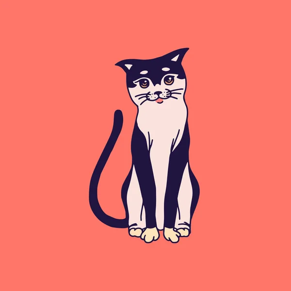 Gato giro. Lavar, brincar aos animais. Gatinho doméstico de cor bonito. Desenho gravado à mão para banner ou camiseta. Monocromático Vector esboço estilo doodle vintage — Vetor de Stock