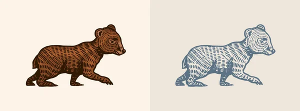 Grizzly liten björn i vintage stil. Brunt vilddjur. Sidovy. Handritad graverad gammal skiss för T-shirt, tatuering eller etikett eller affisch. Vektorillustration. — Stock vektor