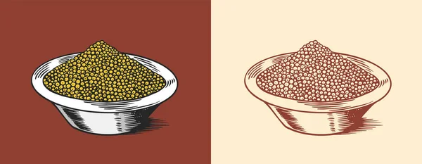 Senapsfrön eller kryddig krydda. Doppa eller doppa sås. Illustration för vintage bakgrund eller affisch. Graverad handritad skiss. — Stock vektor