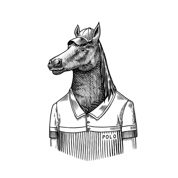 Carácter de caballo con abrigo. Jugador de polo Dobbin. Animal de moda, caballero vitoriano con chaqueta. Dibujado a mano Grabado viejo boceto monocromo. Ilustración vectorial para camiseta, tatuaje o insignia o impresión — Archivo Imágenes Vectoriales