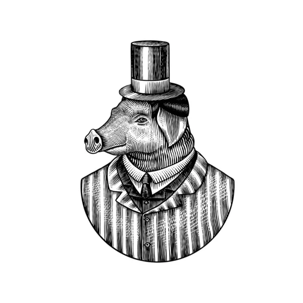 Cochon personnage. Coiffeur de porcs. Animal à la mode, monsieur vitorien vêtu d'une veste. Croquis monochrome gravé à la main. Illustration vectorielle pour t-shirt, tatouage ou badge ou impression. — Image vectorielle