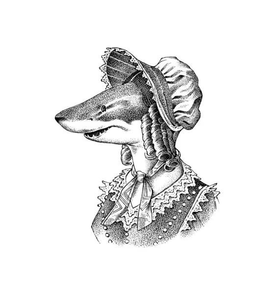鲨鱼和美孚帽维多利亚时代的女人，戴着帽子，穿着西服。时尚动物的性格。手绘草图用于标签、标志和T恤衫或纹身的矢量雕刻图解. — 图库矢量图片