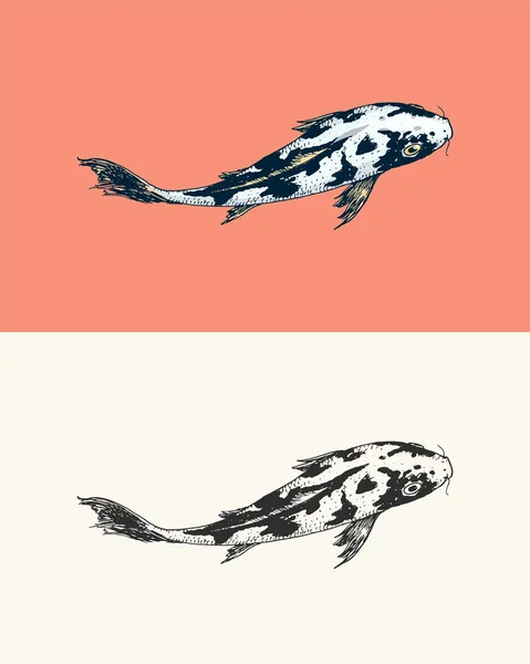 Carpa Koi, peixe japonês. Animal coreano. Gravado mão desenhada linha arte Vintage tatuagem monocromático esboço para cartaz ou rótulo. — Vetor de Stock