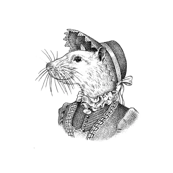 Ratón blanco con sombrero y traje. Mujer o dama victoriana. Personaje animal de moda. Ilustración grabada vectorial para etiqueta, logotipo y camisetas o tatuaje. Bosquejo dibujado a mano. — Vector de stock