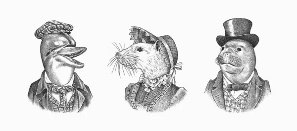 Печатка і Біла Миша і Дельфін в капелюсі і костюмі. Вікторіанська жінка і чоловік. Морський ссавець. Мода на тварину. Намальований вручну. Ілюстрація для футболок або татуювання — стоковий вектор