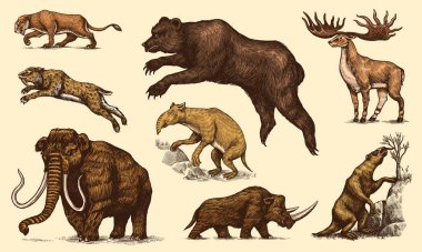 Mamut ya da nesli tükenmiş fil, yünlü gergedan ayı aslanı. Panthera Kılıç dişli kaplan, İrlanda geyiği ya da geyik, yer tembel hayvanı, Megatheriidae. Klasik hayvan. Retro memeliler. Elle çizilmiş çizim.