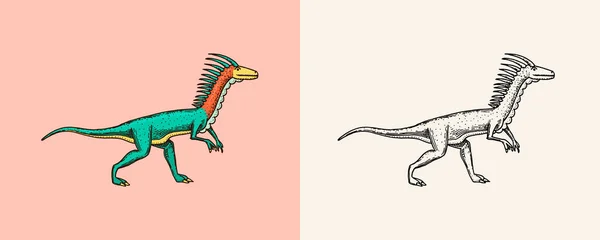 Dinosaurios deinonychus, esqueletos, fósiles. Reptiles prehistóricos. Grabado vintage Dibujo dibujado a mano para impresión de camiseta o póster. — Vector de stock