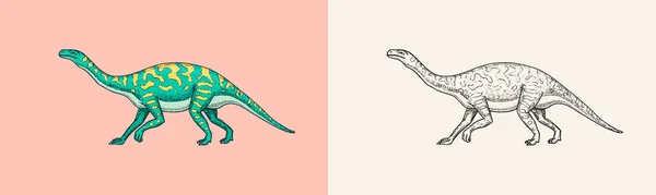 Dinossauros Barosaurus, Apatosaurus, Tenontosaurus Plateosaurus, lagarto largo, Massospondylus, Diplodocus, fósseis. Répteis pré-históricos, Animal. Gravado vintage Desenho desenhado à mão para impressão de t-shirt —  Vetores de Stock