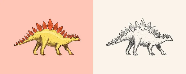 Dinosauro Stegosauro, fossili. Rettili preistorici, Animale. Schizzo inciso vintage disegnato a mano per t-shirt o poster. — Vettoriale Stock