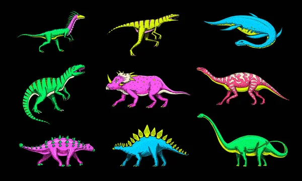 Dinoszauruszok, Tyrannosaurus rex, Triceratops, Barosaurus, Diplodocus, Velociraptor Triceratops Stegosaurus. Őskori hüllők, Állat. Vintage vázlat póló lenyomathoz. Vésett kézzel rajzolt állat — Stock Vector