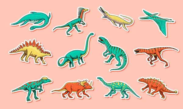 Dinozorlar set, Tyrannosaurus rex, Triceratops, Barosaurus, Diplodocus, Velociraptor Triceratops Stegosaurus. Tarih öncesi sürüngenler, Hayvan. Tişört izi için klasik bir taslak. Oymalı El Çizilmiş Hayvan — Stok Vektör