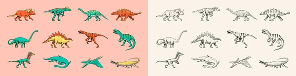 Dinosaurussen ingesteld, Tyrannosaurus rex, Triceratops, Barosaurus, Diplodocus, Velociraptor Triceratops Stegosaurus. Prehistorische reptielen, Dier. Vintage schets voor t-shirt print. Gegraveerd met de hand getekend dier — Stockvector