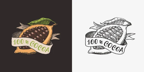 Листья какао. Винтажный бейдж или логотип для футболок, типографики, магазина или вывески. Ручной рисунок с гравировкой. Векторная иллюстрация. — стоковый вектор