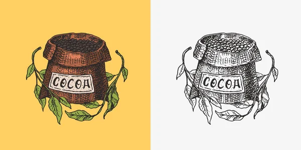 Haricots de cacao, céréales et sac. Badge ou logo vintage pour t-shirts, typographie, boutique ou enseignes. Esquisse gravée à la main. Illustration vectorielle. — Image vectorielle