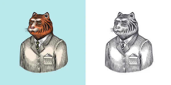 Caractère tigre. Médecin des bêtes. Animal à la mode, monsieur vitorien vêtu d'une veste. Croquis monochrome gravé à la main. Illustration vectorielle pour t-shirt, tatouage ou badge ou impression. — Image vectorielle