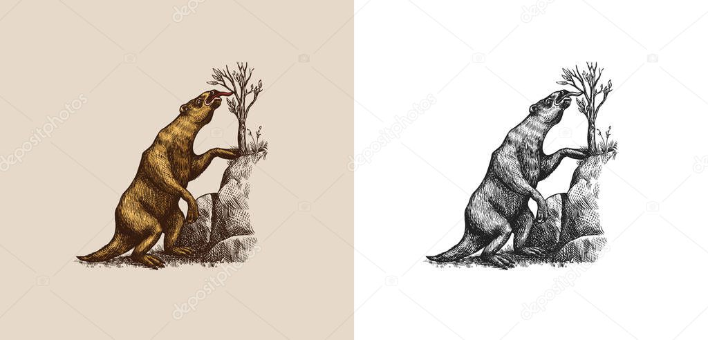 Ground sloth or Megatheriidae. Prehistoric mammals. Extinct animal. Vintage retro vector illustration. Doodle style. Hand drawn engraved sketch