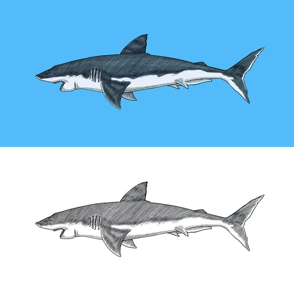 Kalapacsfeju Capaストックベクター ロイヤリティフリーkalapacsfeju Capaイラスト ページ 6 Depositphotos Kalapacsfeju Capaストックベクター ロイヤリティフリーkalapacsfeju Capaイラスト ページ 6 Depositphotos