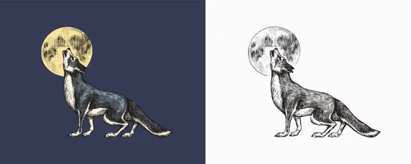 Lobo cinzento a uivar. Uma besta predatória e a lua. Animal selvagem da floresta. Vetor Gravado à mão desenhado Desenho antigo vintage para carimbo, t-shirt ou tipografia ou crachá. —  Vetores de Stock