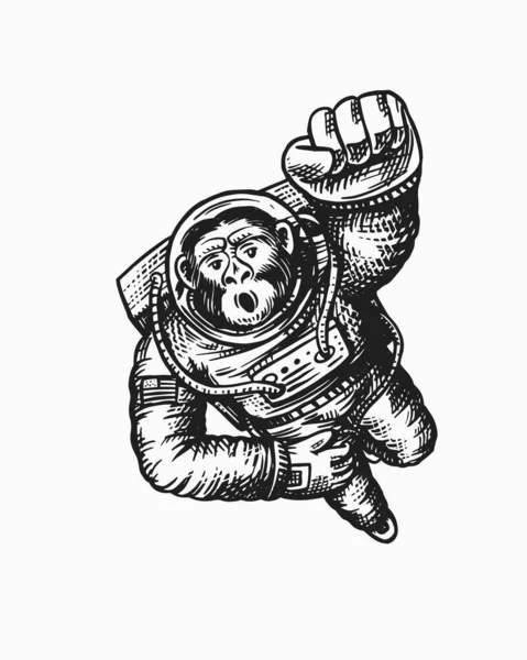 Astronauta macaco voando para cima. Personagem de Chimpanzé. Espaço galáctico astronómico. Cosmonauta engraçado explorar aventura. Desenho à mão Gravado velho esboço monocromático. Ilustração vetorial para t-shirt —  Vetores de Stock