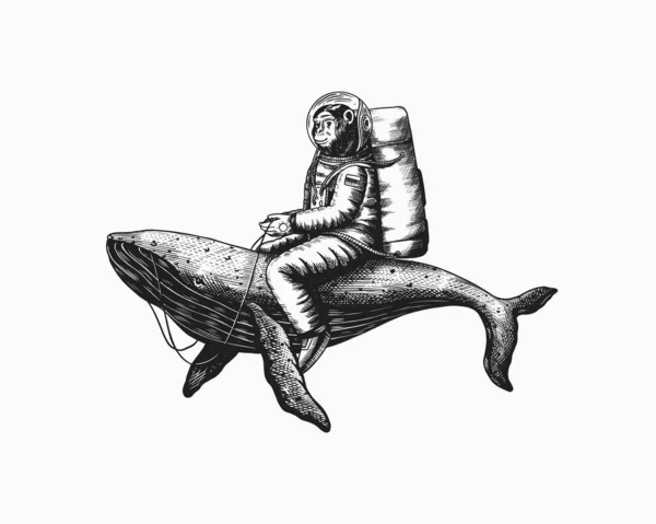 Αστροναύτης μαϊμού με μπλε φάλαινα. Αστείος χιμπατζής αστροναύτης κοσμοναύτης. Αστρονομικός γαλαξίας. Χειροποίητο ζωγραφισμένο παλιό μονόχρωμο σκίτσο. Εικονογράφηση διάνυσμα για t-shirt, τατουάζ — Διανυσματικό Αρχείο