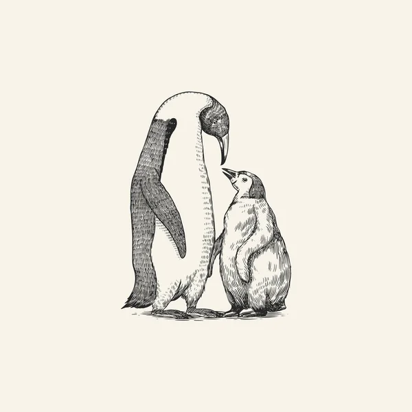 Chica pingüino Rey o Emperador. Adulto con menores. Mamás y bebés animales. Lindo pequeño nestling. Gráficos vectoriales dibujo en blanco y negro. Dibujo dibujado a mano. Pájaro acuático sin vuelo. — Vector de stock