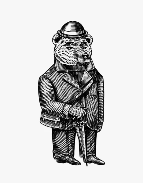 Медведь с зонтиком в куртке и шляпе. Модный персонаж. Викторианский джентльмен. Винтажный ретро-стиль. Ручной рисунок. Векторная гравировка для логотипа и татуировок или футболок. — стоковый вектор