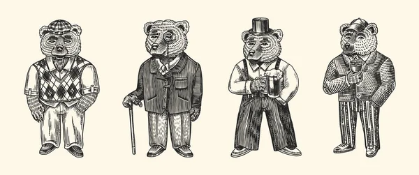 Urso em traje vintage com cerveja. Personagem animal de moda na jaqueta tweed. Esboço desenhado à mão. Olhar retrô. Ilustração gravada em vetor para logotipo e tatuagem ou camisetas. — Vetor de Stock