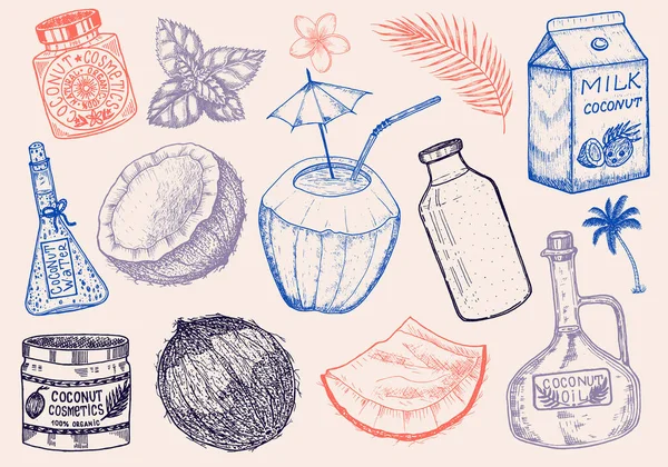 Kokosnoot en palmblad, Melk verpakking, glazen fles, boter, cosmetische crème pot, cocktail met paraplu. Vintage stijl. Tropische voedselillustratie — Stockvector