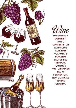 Şarap posteri ya da üzüm bağı afişi. Şampanya arkaplanı, tost ve üzüm. Bar, alkol etiketi, restoran menüsü için el çizimi eski bir eskiz..