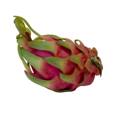 Pitaya olarak da bilinen ejderha meyvesi canlı pembe ve yeşil derisini sunar. Lezzetli, egzotik bir tropikal besin. Şeffaf arkaplan