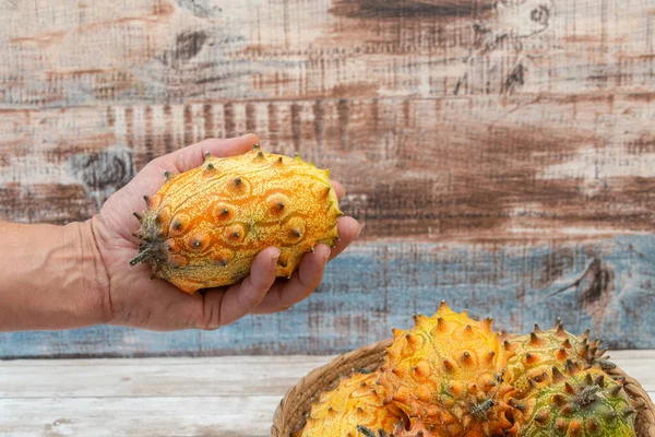 Elinde tek bir kiwano boynuzlu karpuz vardı. Aşağıdaki sepetin içinde daha çok meyve vardı. Kırsal ahşap bir yüzeye karşı.