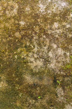 Yüksek çözünürlüklü, pis dokuların ve mimari elementlerin çok yönlü bir koleksiyonu. Tasarım arka planları, doku örtüleri, kentsel çürüme kavramları, klasik estetik ve endüstriyel konsept için ideal.