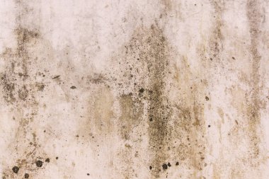 Yüksek çözünürlüklü, eski, sıkıntılı beton bir duvarın tam çerçeve arka planı. Ağır yıpranma, derin çatlaklar, pürüzlü alçı ve grunge dokusu var. Kentsel, klasik, çürüme ve soyut tasarım kavramları için mükemmel..