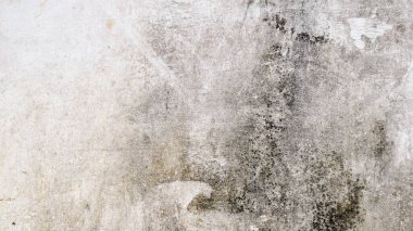 Yüksek çözünürlüklü, eski, sıkıntılı beton bir duvarın tam çerçeve arka planı. Ağır yıpranma, derin çatlaklar, pürüzlü alçı ve grunge dokusu var. Kentsel, klasik, çürüme ve soyut tasarım kavramları için mükemmel..