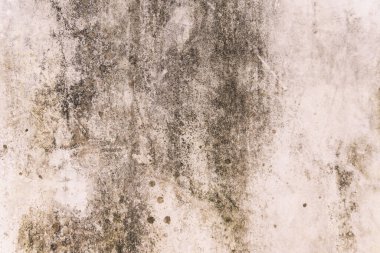 Yüksek çözünürlüklü, eski, sıkıntılı beton bir duvarın tam çerçeve arka planı. Ağır yıpranma, derin çatlaklar, pürüzlü alçı ve grunge dokusu var. Kentsel, klasik, çürüme ve soyut tasarım kavramları için mükemmel..