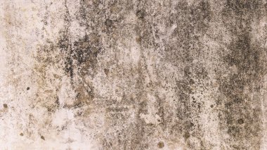 Yüksek çözünürlüklü, eski, sıkıntılı beton bir duvarın tam çerçeve arka planı. Ağır yıpranma, derin çatlaklar, pürüzlü alçı ve grunge dokusu var. Kentsel, klasik, çürüme ve soyut tasarım kavramları için mükemmel..