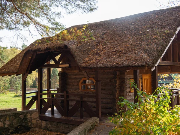 茅葺屋根の小さなログハウスと若い松の木の家の後ろの芝生 — ストック写真