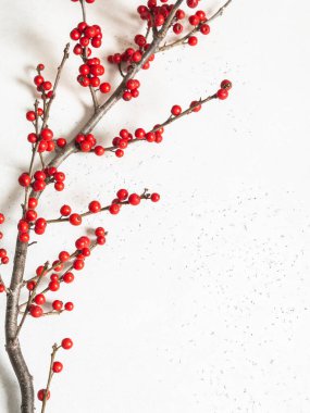 Bej arka planda Ilex dikdörtgen dalları. Ön manzara. Boşluğu kopyala, Seçici odak