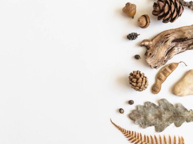 Düz sonbahar kompozisyonu. Çeşitli sonbahar orman malzemelerinden yapılmış bir sınır. Üst görünüm, alanı kopyala