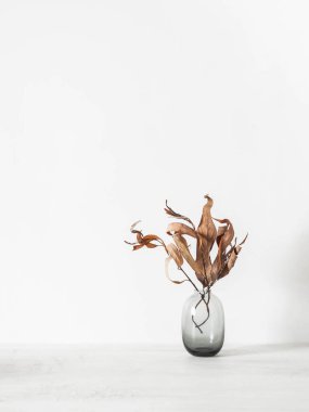Beyaz masadaki cam vazodaki kuru sonbahar dallarının minimum ömrü. Uzayı kopyala Ön görünüm