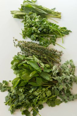 Beyaz arka planda izole edilmiş taze otlar, maydanoz, biberiye, kekik, adaçayı, kekik,